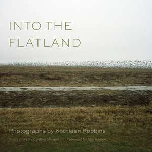 Into the Flatland de Kathleen Robbins