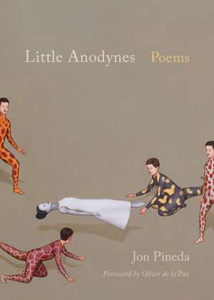 Little Anodynes: Poems de Jon Pineda