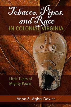 Tobacco, Pipes, and Race in Colonial Virginia: Little Tubes of Mighty Power de Anna S Agbe-Davies