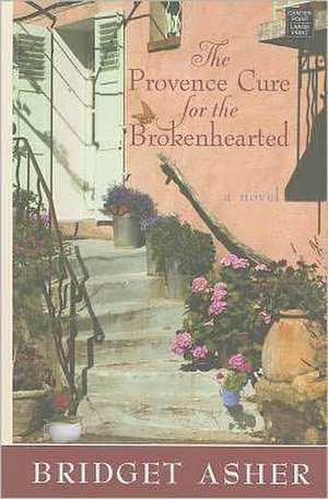 The Provence Cure for the Brokenhearted de Bridget Asher