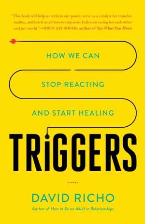 Triggers: How We Can Stop Reacting and Start Healing de David Richo