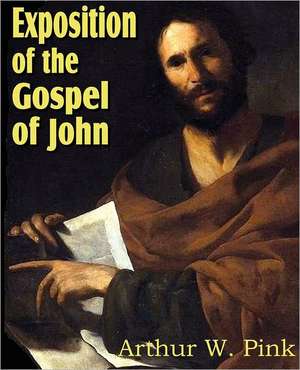 Exposition of the Gospel of John de Arthur W. Pink