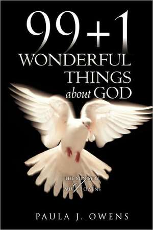 99+1 Wonderful Things about God de Paula J. Owens