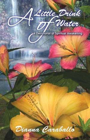 A Little Drink of Water, a Devotional of Spiritual Awakening de Dianna Caraballo