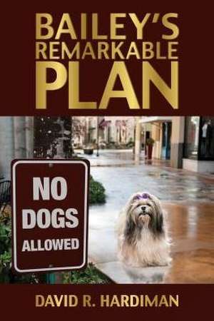 Bailey's Remarkable Plan de David R. Hardiman