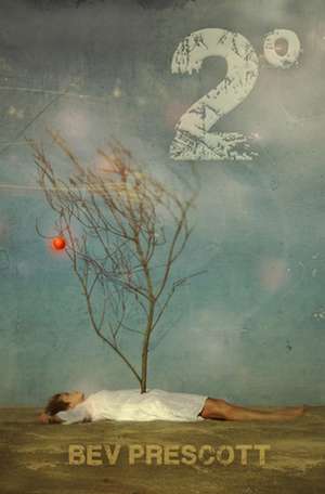 2 Degrees de Bev Prescott