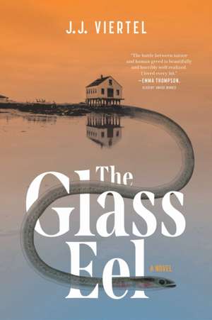 The Glass Eel de J J Viertel
