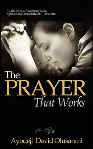 The Prayer That Works de Ayodeji David Olusanmi