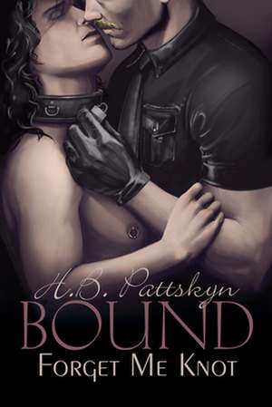 Bound de H. B. Pattskyn