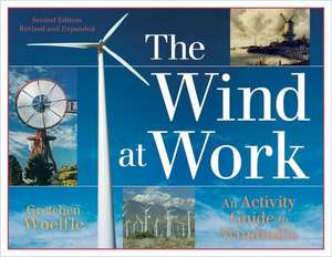 The Wind at Work: An Activity Guide to Windmills de Gretchen Woelfle