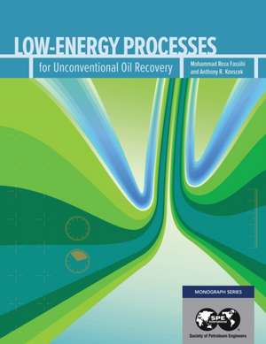 Low-Energy Processes for Unconventional Gas Recovery de Reza Fassihi