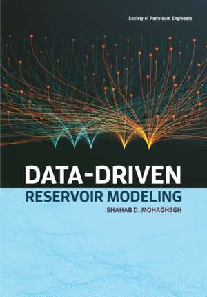 Data-Driven Reservoir Modeling de Shahab D Mohaghegh