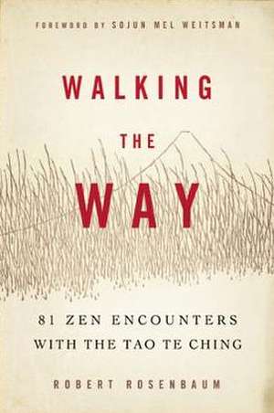 Walking the Way: 81 Zen Encounters with the Tao Te Ching de Robert Meikyo Rosenbaum