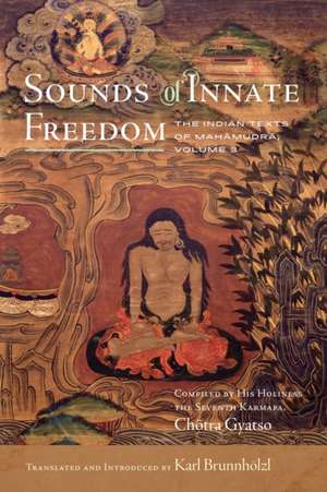 Sounds of Innate Freedom de Karl Brunnhoelzl