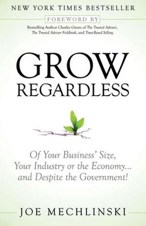 Grow Regardless: Of Your Business' Size, Your Industry or the Economy and Despite the Government! de Joe Mechlinski