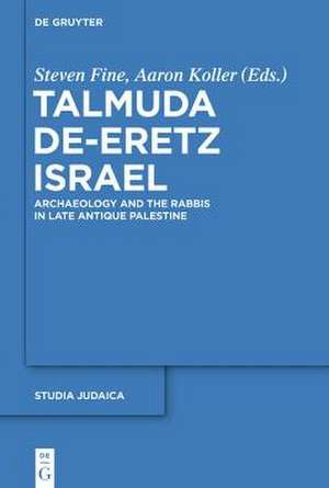 Talmuda de-Eretz Israel: Archaeology and the Rabbis in Late Antique Palestine de Steven Fine