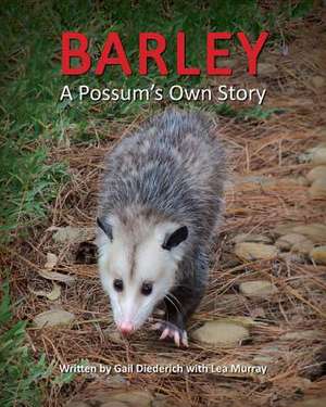 Barley, a Possum's Own Story de Gail Diederich