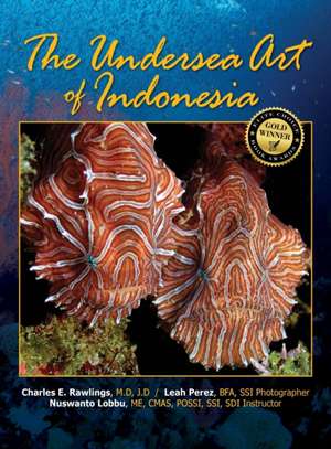 The Undersea Art of Indonesia de M. D. J. D. Rawlings