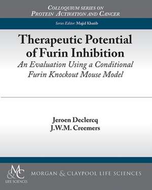 Therapeutic Potential of Furin Inhibition de Jeroen Declercq