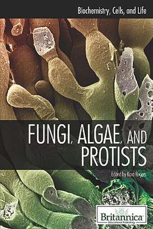 Fungi, Algae, and Protists de Kara Rogers