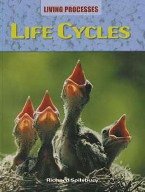 Life Cycles de Richard Spilsbury