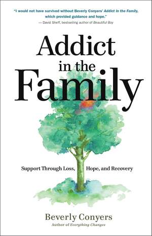 Addict in the Family: Support Through Loss, Hope, and Recovery de Beverly Conyers