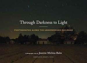 Through Darkness to Light de Jeanine Michna-Bales