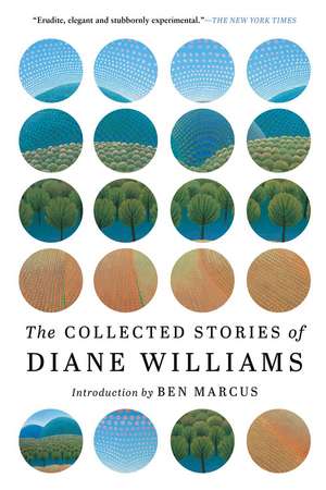 The Collected Stories of Diane Williams de Diane Williams