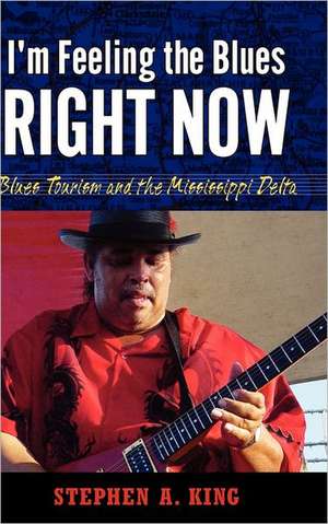 I'm Feeling the Blues Right Now: Blues Tourism and the Mississippi Delta de Stephen A. King