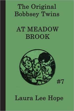 The Bobbsey Twins at Meadow Brook: Of Plymouth Plantation de Laura Lee Hope