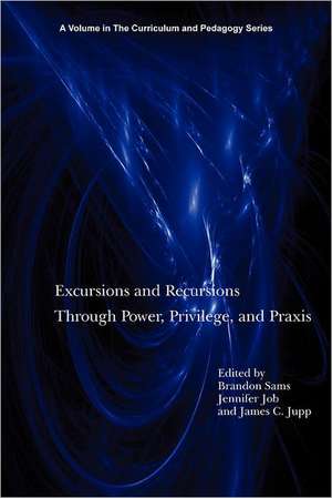 Excursions and Recursions Through Power, Privilege, and Practice de Jennifer Job