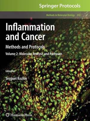 Inflammation and Cancer: Methods and Protocols: Volume 2, Molecular Analysis and Pathways de Serguei V. Kozlov