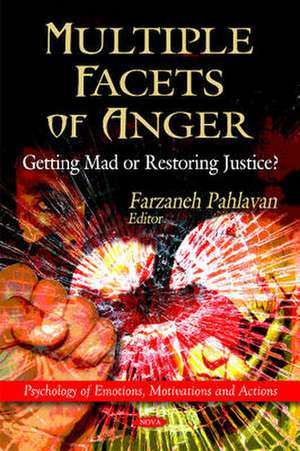 Multiple Facets of Anger de Farzaneh Pahlavan