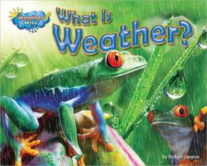 What Is Weather? de Ellen Lawrence