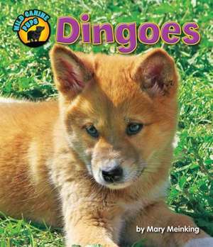 Dingoes de Mary Meinking