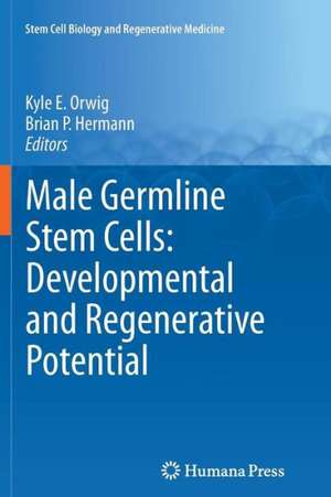 Male Germline Stem Cells: Developmental and Regenerative Potential de Kyle E. Orwig