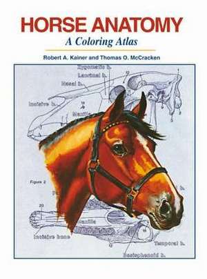 Horse Anatomy de Robert A. Kainer