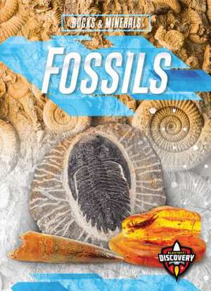 Fossils de Patrick Perish
