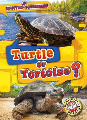 Chang, K: Turtle or Tortoise?