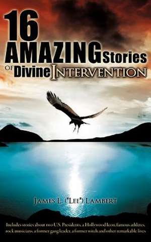 16 Amazing Stories of Divine Intervention de James L. Lambert