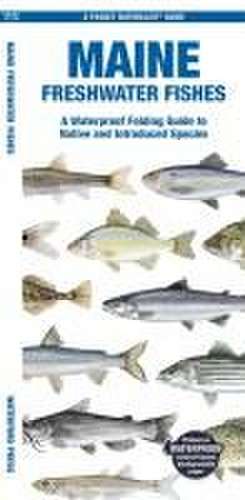 Maine Freshwater Fishes de Matthew Morris