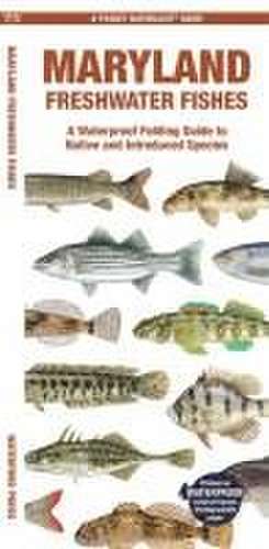 Maryland Freshwater Fishes de Matthew Morris Matthew Morris