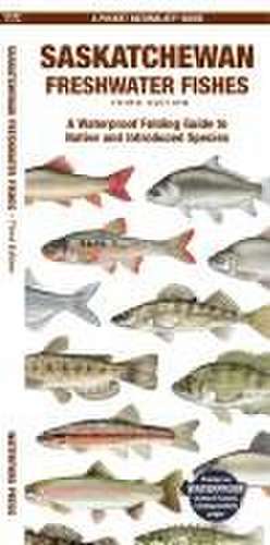 Saskatchewan Freshwater Fishes de Matthew Morris