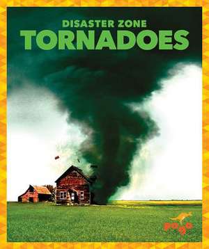 Tornadoes de Cari Meister