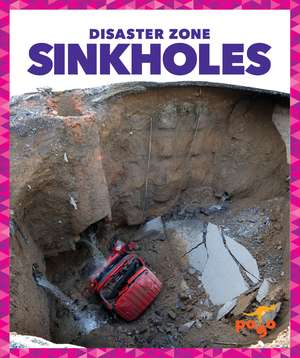 Sinkholes de Vanessa Black