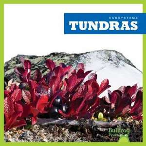 Tundras de Nadia Higgins