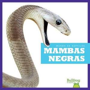 Mambas Negras (Black Mambas) de Kingsley, Imogen