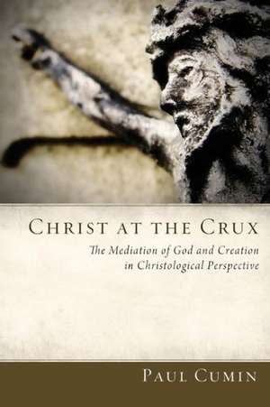 Christ at the Crux: The Mediation of God and Creation in Christological Perspective de Paul Cumin