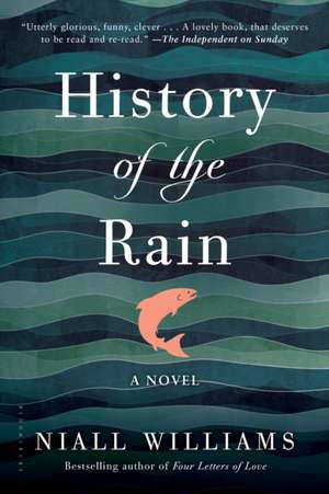 History of the Rain de Niall Williams