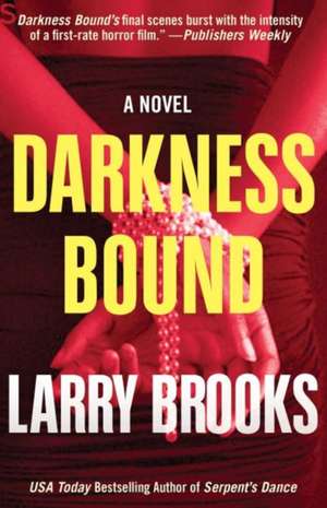 Darkness Bound de Larry Brooks